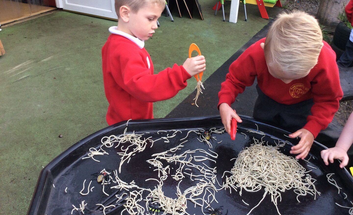 Image of worms and spiders!